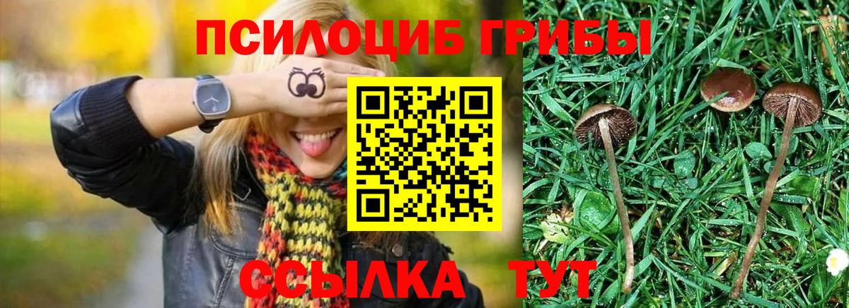 Псилоцибиновые грибы ЛСД  Вход с VPN  где можно купить   Когалым 